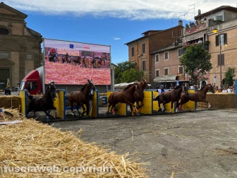 Ronciglione - Palio di San Bartolomeo