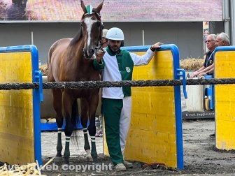 Ronciglione - Palio di San Bartolomeo