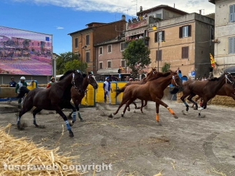Ronciglione - Palio di San Bartolomeo