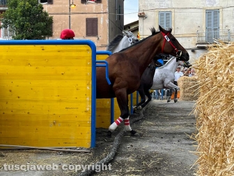 Ronciglione - Palio di San Bartolomeo