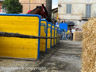 Ronciglione - Palio di San Bartolomeo