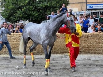 Ronciglione - Palio di San Bartolomeo