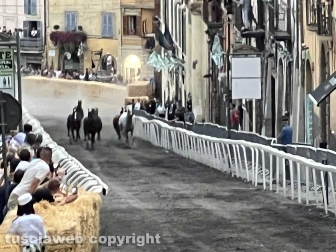 Ronciglione - Palio di San Bartolomeo