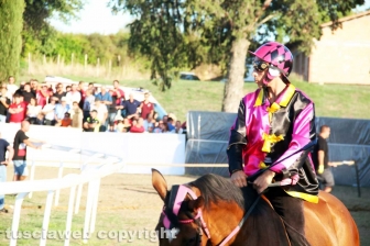 Palio di Sant'Anselmo 2