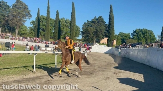 Palio di Sant'Anselmo 2026