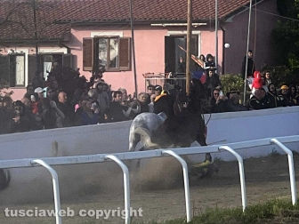 Bomarzo - Fantino cade e viene travolto da un cavallo è grave