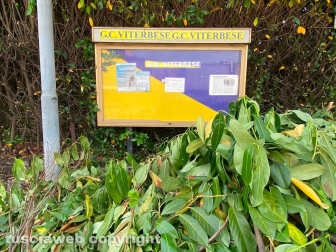 Parcheggio abbandonato