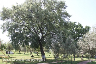 Parco delle querce, al via i lavori