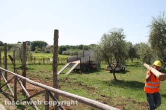 Parco delle querce, al via i lavori