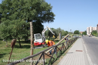 Parco delle querce, al via i lavori