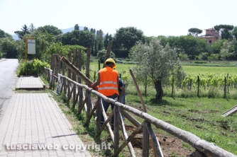 Parco delle querce, al via i lavori