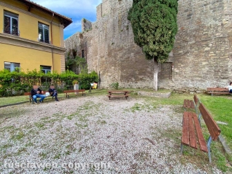Parco Lubich erba tagliata