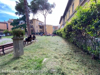 Parco Lubich erba tagliata