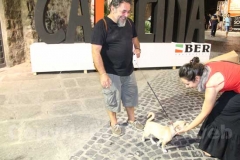 Inaugurata Caffeina 2011