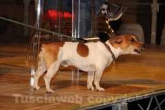 Parte Caffeina 2012