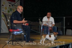 Parte Caffeina 2012