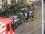 Parte di un albero crolla sulle auto in sosta