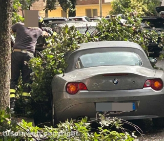 Viterbo - Via Treviso - Grosso tronco di un albero crolla sulle auto