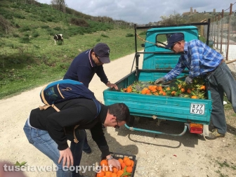 Passeggiata sulle scene del film “Uccellacci e uccellini”