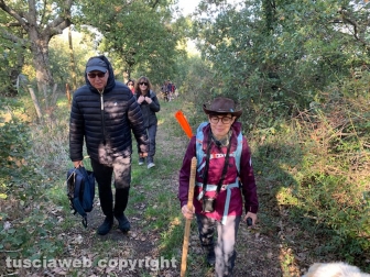 Viterbo - Passeggiata enogastronomica "Tobia San Martino olio e vino"