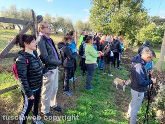 Viterbo - Passeggiata enogastronomica "Tobia San Martino olio e vino"