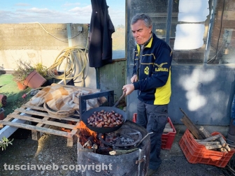 Viterbo - Passeggiata enogastronomica "Tobia San Martino olio e vino"