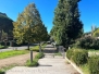 Passeggiata Valle Faul - 18 ottobre