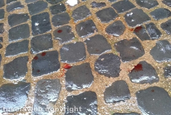 Viterbo - Il sangue in via della Casaccia
