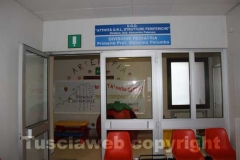 Pediatria a Belcolle