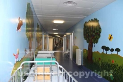 Pediatria a Belcolle