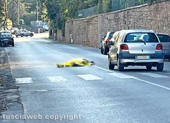 Viterbo - Incidente in via del Pilastro