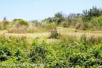 Perdita d'acqua calda