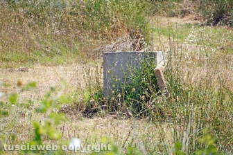 Perdita d'acqua calda