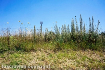 Perdita d'acqua calda