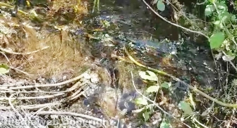 Perdita d'acqua calda