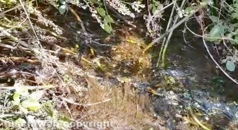 Perdita d'acqua calda