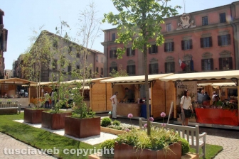 Piacere Etrusco a piazza del Comune