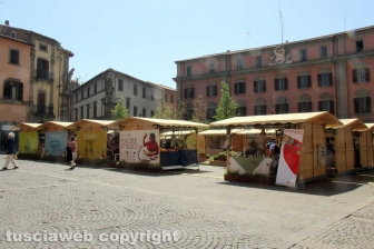 Piacere Etrusco a piazza del Comune
