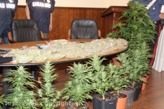 Civita Castellana - Carabinieri - La piantagione di marijuana sequestrata