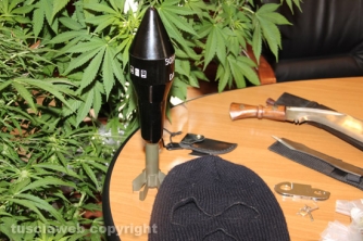 Civita Castellana - Carabinieri - La piantagione di marijuana sequestrata