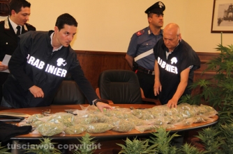 Civita Castellana - Carabinieri - La piantagione di marijuana sequestrata