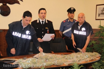 Civita Castellana - Carabinieri - La piantagione di marijuana sequestrata