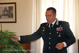 Civita Castellana - Carabinieri - La piantagione di marijuana sequestrata
