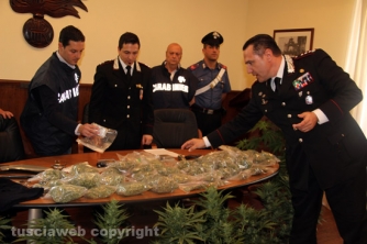 Civita Castellana - Carabinieri - La piantagione di marijuana sequestrata