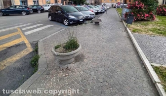 Piazza della Rocca - Una tradizionale fioriera senza fiori e piena di erbacce