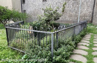 Piazza della Rocca - I bagni chiusi e pieni di erbacce