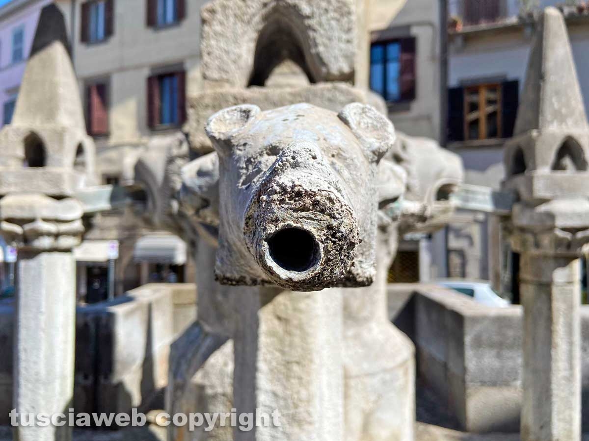 Piazza Fontana grande