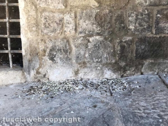 Piazza San Pellegrino nel degrado più completo