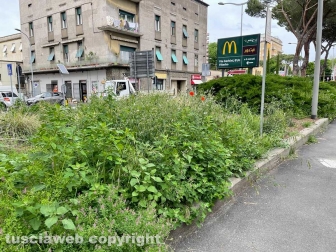 Viterbo - Piazzale Gramsci ridotto a una giungla