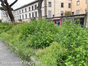 Viterbo - Piazzale Gramsci ridotto a una giungla